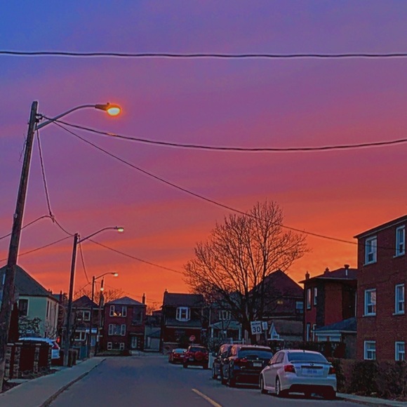 Meet your Posher, Bronwyn - Picture 1 of 1